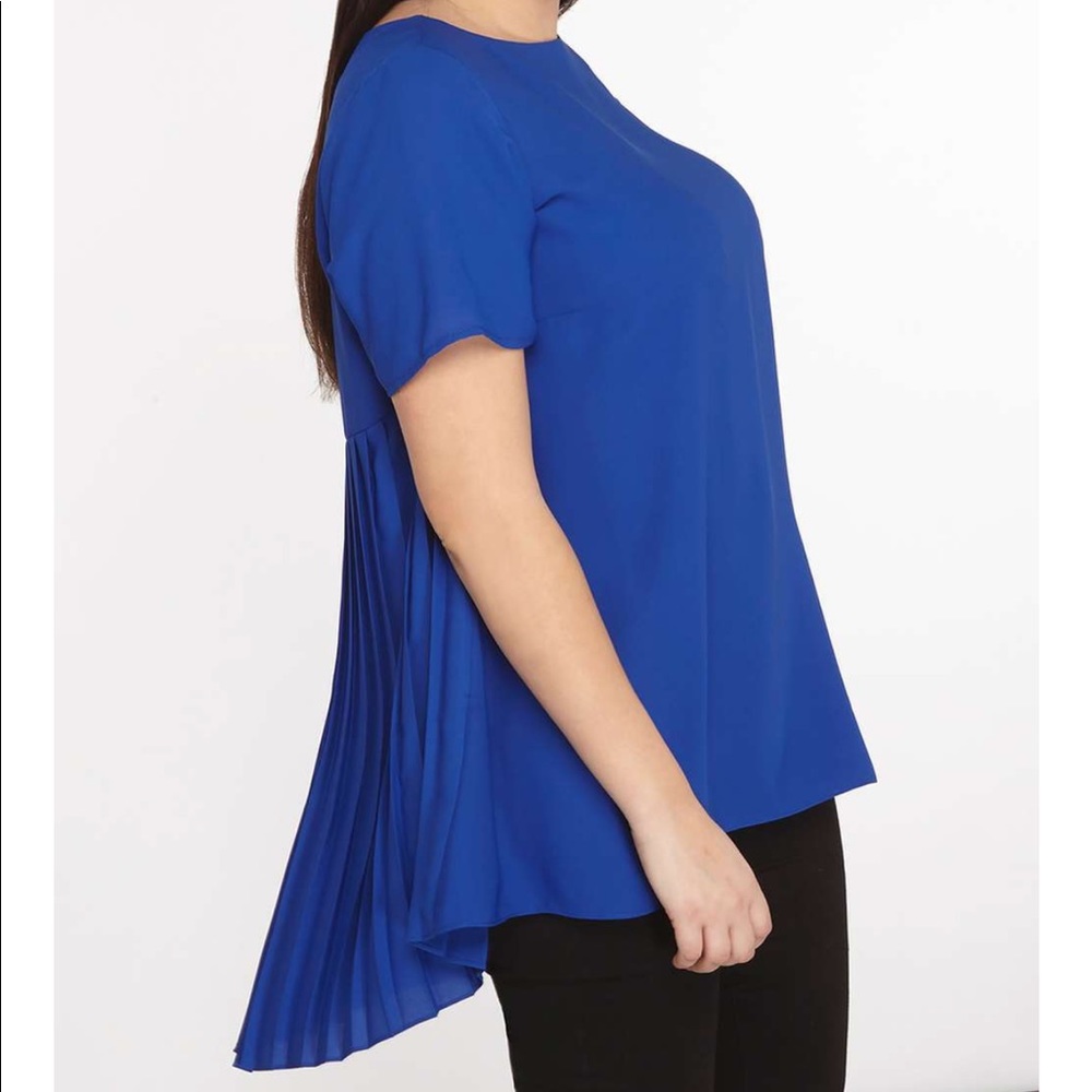 DP Curve Cobalt Pleated Back Blouse